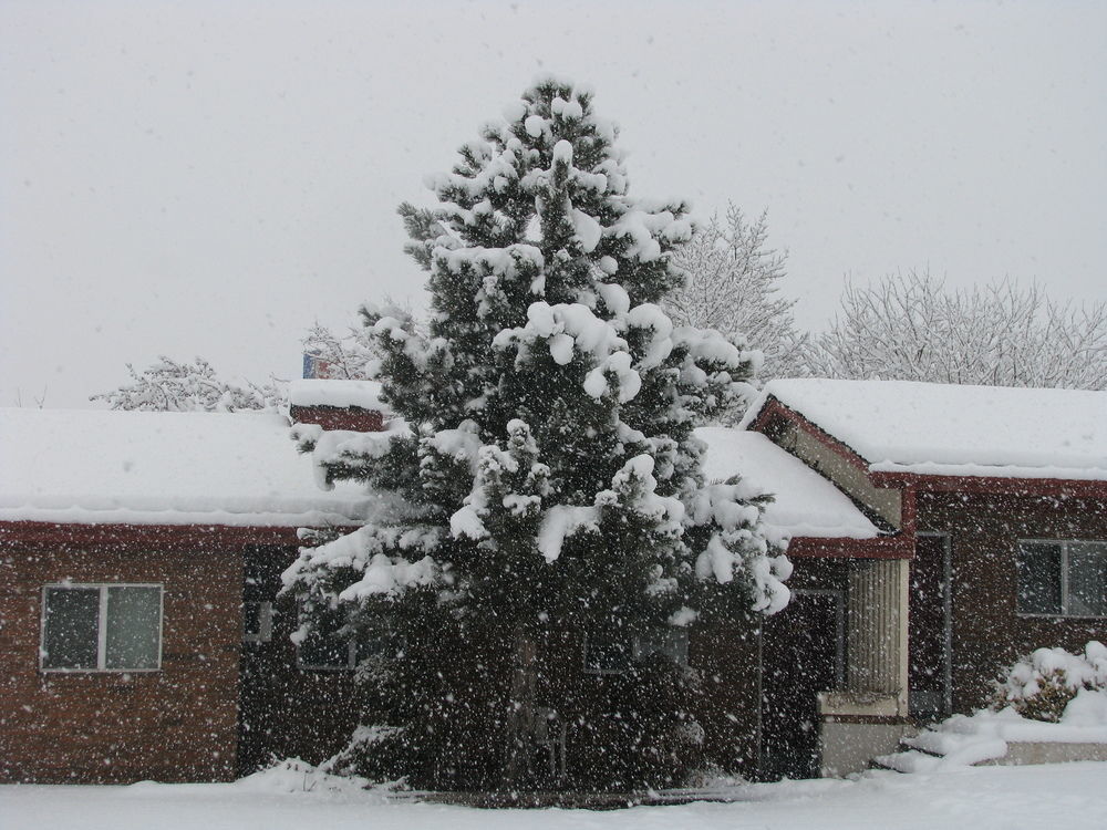 Frontier Lodge Glenwood Springs Luaran gambar